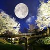 Лунный календарь на апрель 